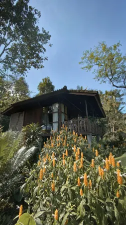 Kebun Kita Eco Lodge Отели рядом с достопримечательностью «Бали»
