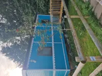 Glamping Hut - Riverview 3 - Yüzme Havuzu