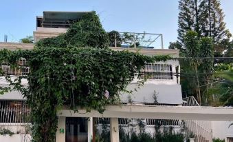 Botanic Garden Hostal