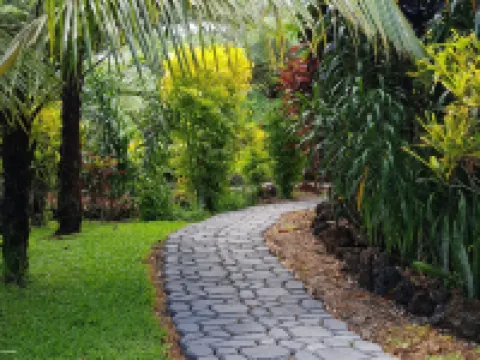 斐濟神聖花園 恩加梅阿島酒店