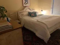 Downtown Designer Digs