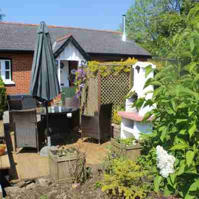 Delightful Detached Cottage close to Exeter, Dartmoor and the coast. Hotel Exterior