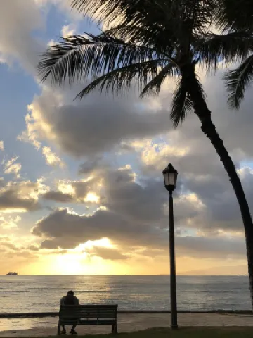 Panoramic Diamond Head Ocean View Spacious Home