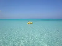 Grand Cayman tranquility at its best! Hotels in Rum Point