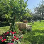 Tenuta Gli Agrumi del Salento Hotels near Piazza della Costituzione