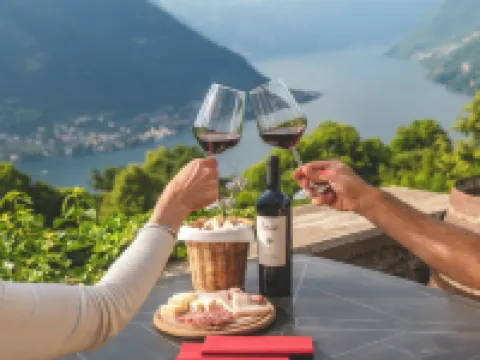 Essentia Guest House Hotels in Faggeto Lario