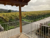 Gemütliches Chalet im Herzen des Kaiserstuhls Hotels in Vogtsburg