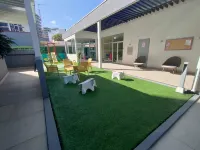 Great 3 BD Apt in the BEST location in San José, Rohrmoser