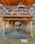 Treehouse lifted up over a stocked trout pond up in the beautiful birch trees!