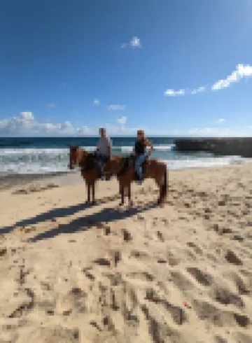 Huge Villa!Walk to Beach, Casinos, and Restaurants.Private Pool & Swim-up Bar.