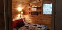 Amazing views of Lake Chelan! Unique "Treehouse" cabin with 2 bedrooms & 1 bath