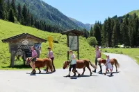 Apartment in the Kitzbühel Alps