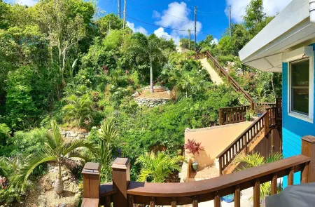 Penthouse Views Full AC Coral Bay St John, Easy Drive Restaurants, Bars, Beaches