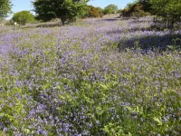 버터브룩 코치 하우스 스파크웰 호텔