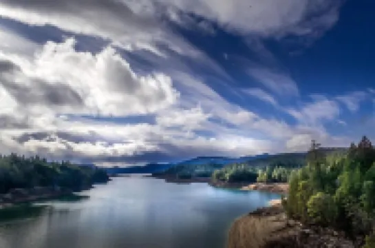 메이플 리프 모텔 쉐디 코브