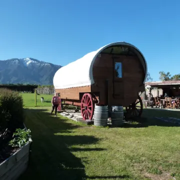 Wacky Stays - Unique Farm-Stay Glamping Rentals, Free Animal Feeding Tours