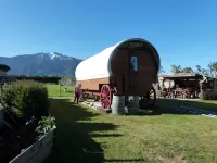Wacky Stays - Unique Farm-Stay Glamping Rentals, Free Animal Feeding Tours
