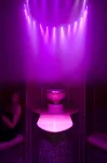 Dunbrody Country House Hotel - spa