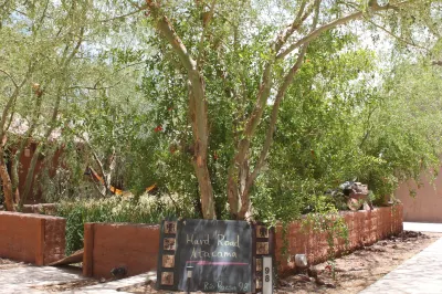 Hard Road Atacama Hotels in 