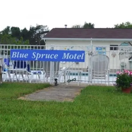 Blue Spruce Motel