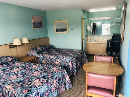 Friendly Inn Motel Отели в г. Скайлайн Вью