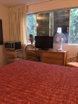 Dolphin Bay Hotel Hotels in Hilo