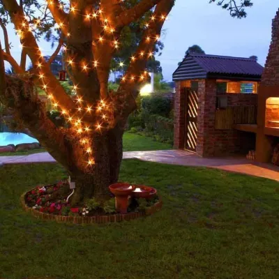 Treetops Guesthouse Hotels near St George's Park