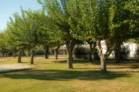 Raw Beach Hotel Hotels near Lara Beach