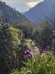 Hotel Monte Rosa