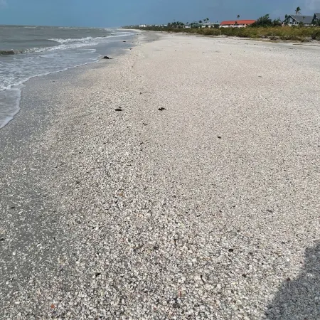 Tarpon Tale Inn