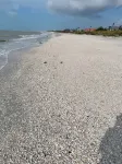 Tarpon Tale Inn - Beach