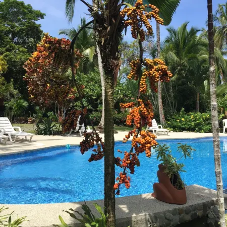 La Diosa Nature Lodge