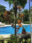 La Diosa Nature Lodge - Beach