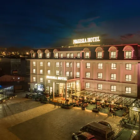 Sapa Freesia Hotel