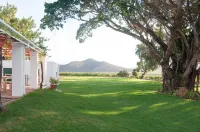 Green Olive Guesthouse