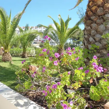 Grand Hotel Palladium Santa Eulalia del Río