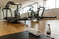 Rio Hotel by Bourbon Maringá - Gym
