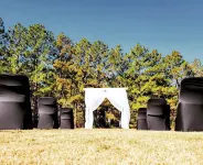 더 파인 인 파인블러프