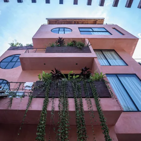 Casa Toro La Punta