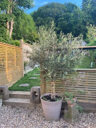 Luxury Alexandra Palace Private Guest Suite