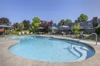 Best Western Fireside Inn - Pools