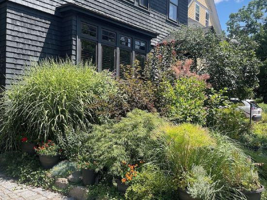 Spacious home in Harvard Square with permitted free on street parking