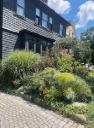 Spacious home in Harvard Square with permitted free on street parking