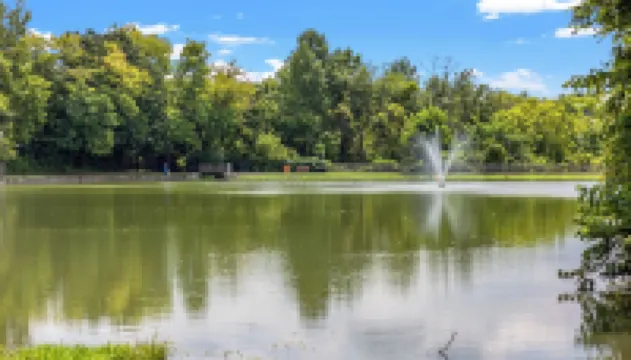 Stylish Comfortable Bluegrass Cottage 7 min to Ark - Fire Pit! Hotels in Dry Ridge