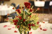 Homewood Suites by Hilton Longview Hotels in Gregg County