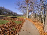 Wintergreen Ski Resort Condo w/ Golf Access! Hotels in Nelson County