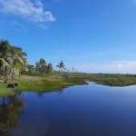 Sol e Mar! Hotels near Pista de Skate da Praia de Jauá