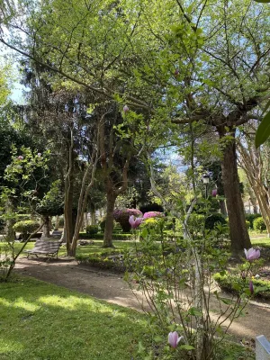 Padrón Centro, Camino De Santiago Herbon附近的飯店