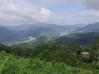 Tea Flower Adventure — Self-Catering Cottage with some spectacular activities...