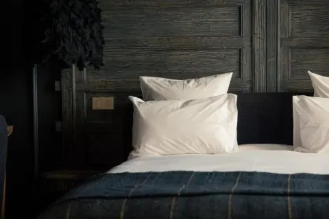 Les Palmiers Boutique Hôtel & Spa